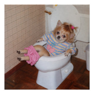 Heather-Lynn’s Retro Chihuahua Potty Triumph Poster