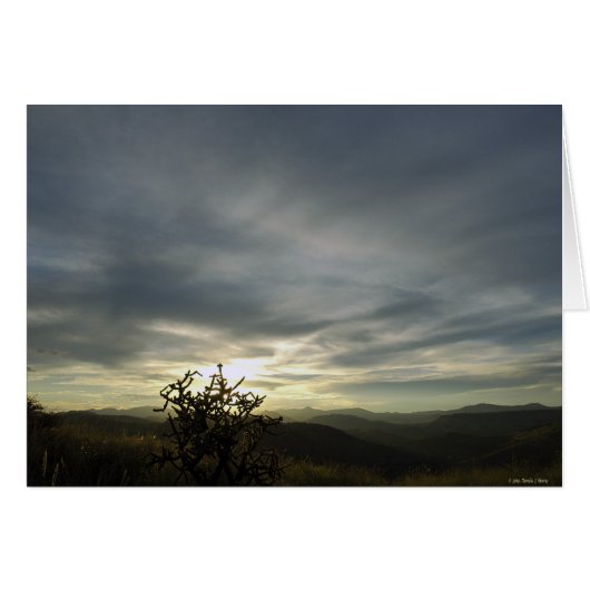 HEAVEN + EARTH (Front Horizontal)