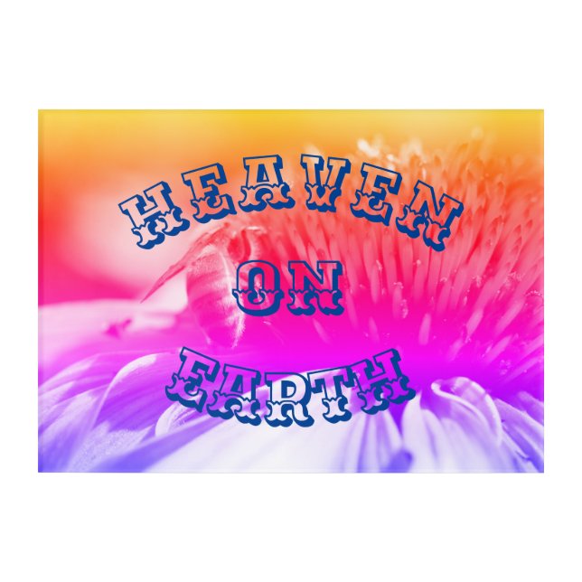 Heaven On Earth Honey Bee On Flower   Acrylic Print (Front)