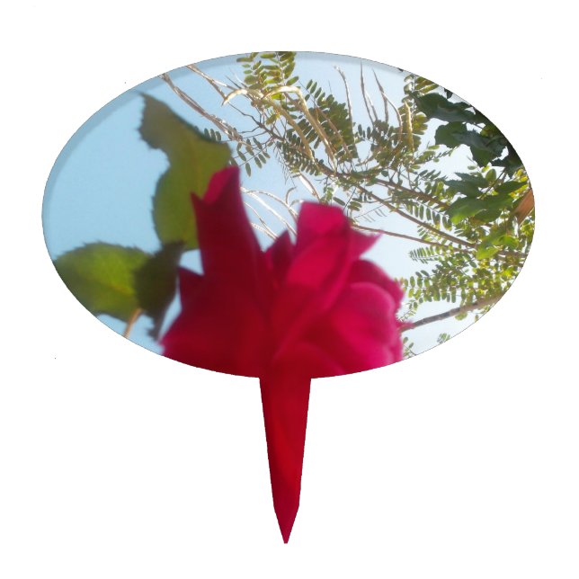 Heavenly Bloom: A Rose Against the Sky Cake Topper (Front)