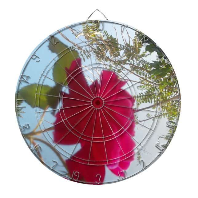 Heavenly Bloom: A Rose Against the Sky Dartboard With Darts (Front)