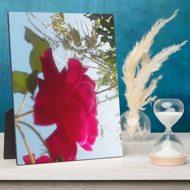 Heavenly Bloom: A Rose Against the Sky Plaque (Side)
