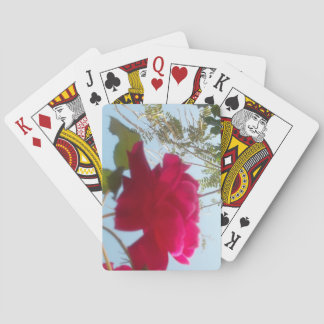 Heavenly Bloom: A Rose Against the Sky Poker Cards