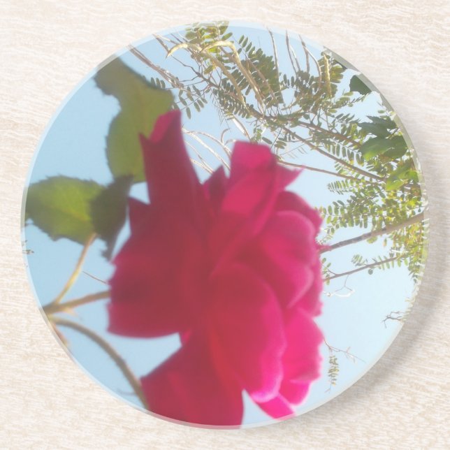 Heavenly Bloom: A Rose Against the Sky Sandstone Coaster (Front)