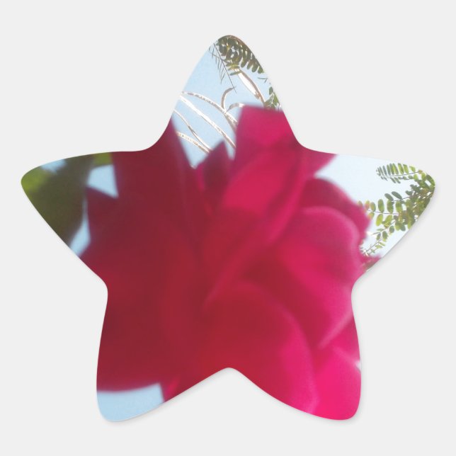 Heavenly Bloom: A Rose Against the Sky Star Sticker (Front)