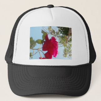 Heavenly Bloom: A Rose Against the Sky Trucker Hat
