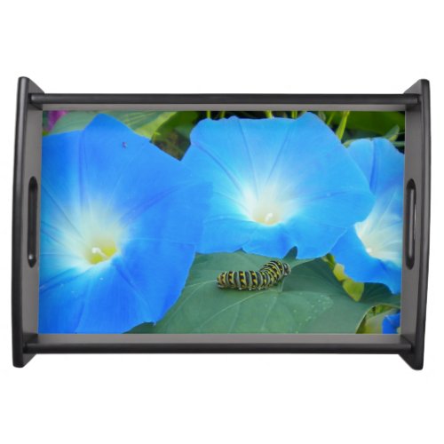 Heavenly Blue Morning Glories Serving tray