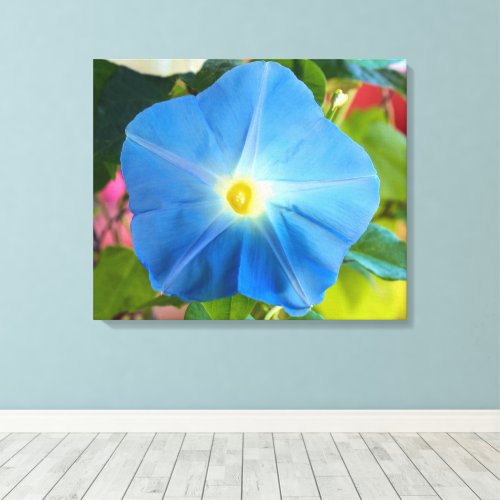 Heavenly Blue Morning Glory Canvas Art