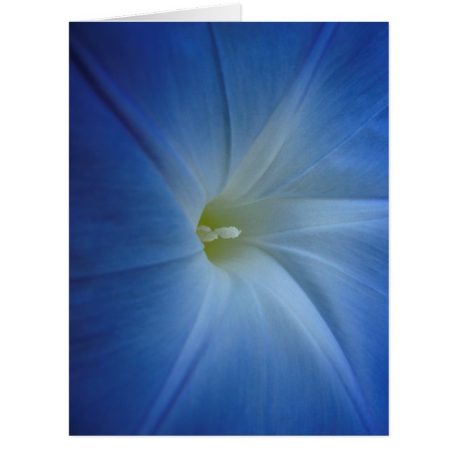 Heavenly Blue Morning Glory Close-Up Birthday Card