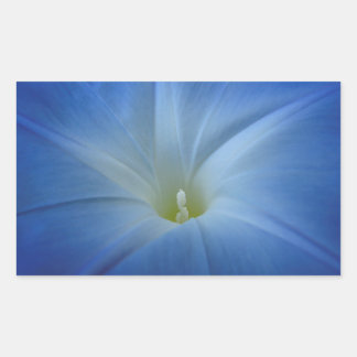 Heavenly Blue Morning Glory Close-Up Photo Rectangular Sticker