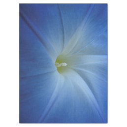Heavenly Blue Morning Glory Close-Up Photo Tissue Paper