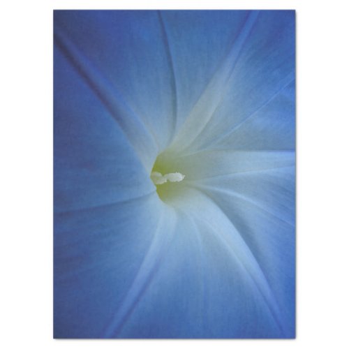 Heavenly Blue Morning Glory Close_Up Photo Tissue Paper