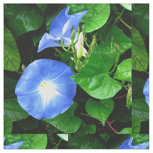 Heavenly Blue Morning Glory Fabric