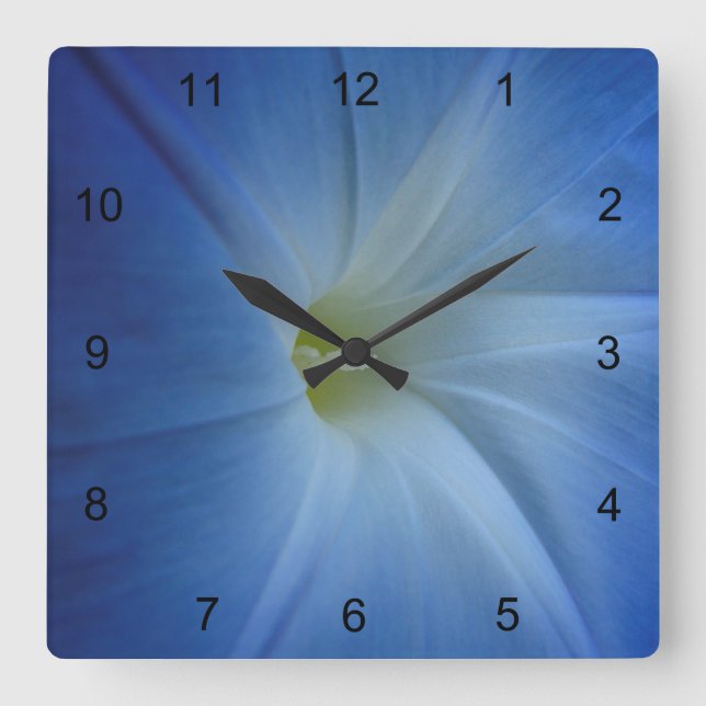 Heavenly Blue Morning Glory Flower Photo Square Wall Clock (Front)
