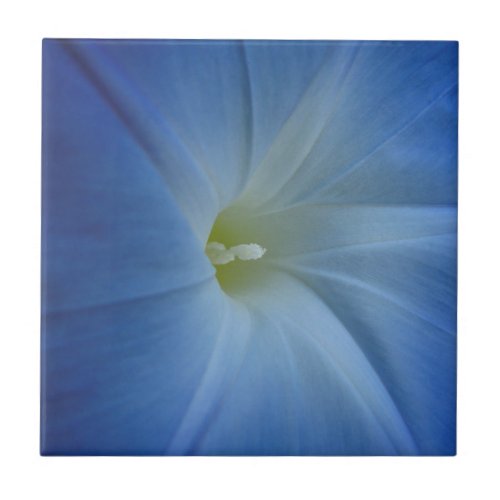 Heavenly Blue Morning Glory Flower Photo Tile