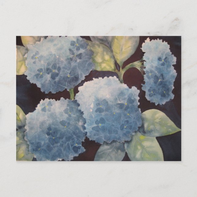 Heavenly Hydrangeas Postcard (Front)