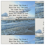 HEAVENLY JEREMIAH 29:11 SCRIPTURE DESIGN FABRIC