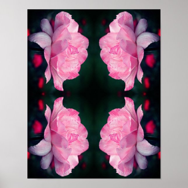 Heavenly Pink Rose Flower Abstract  Poster (Front)