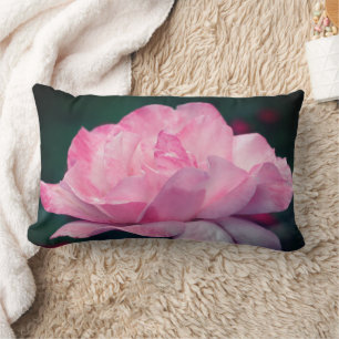 Heavenly Pink Rose Flower   Lumbar Pillow