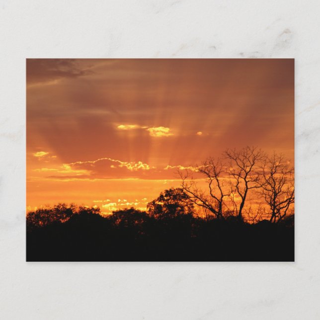 "heavenly sunset" by Coressel Productions Postcard (Front)