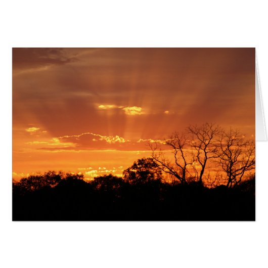 "heavenly sunset" by Larry Coressel Cards (Front Horizontal)