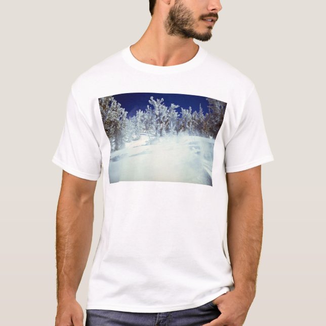 Heavenly Valley, U.S.A. T-Shirt (Front)