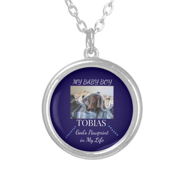 Heaven's Pawprint Trail Silver Plated Necklace (Front)