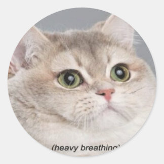 *heavy breathing* classic round sticker