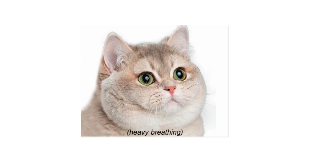Heavy Breathing Meme For Kids Postcard Zazzle Com