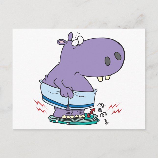 heavy hippo breaking scale diet humor postcard (Front)