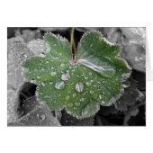 heavy rain (Front Horizontal)