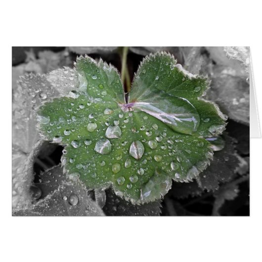 heavy rain cards (Front Horizontal)