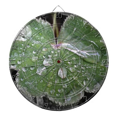 heavy rain dartboard