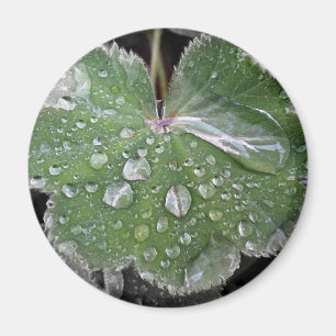 heavy rain magnet