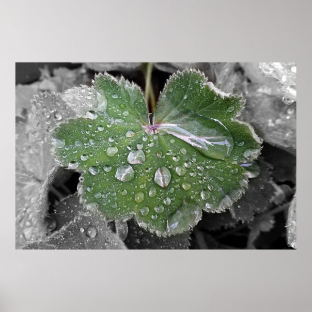 heavy rain poster (Front)