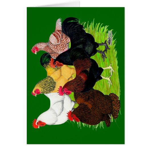 Heavy Rooster Assortment Cards (Front)