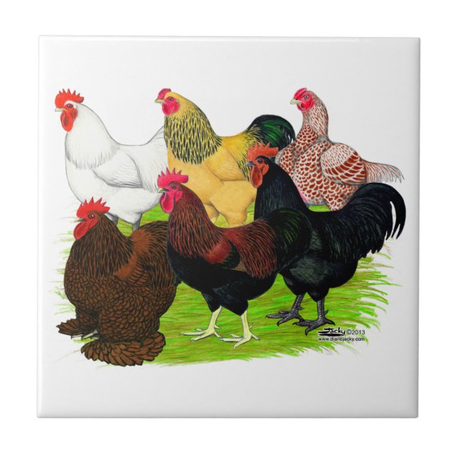 Heavy Rooster Assortment Ceramic Tile (Front)