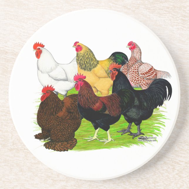 Heavy Rooster Assortment Drink Coaster (Front)