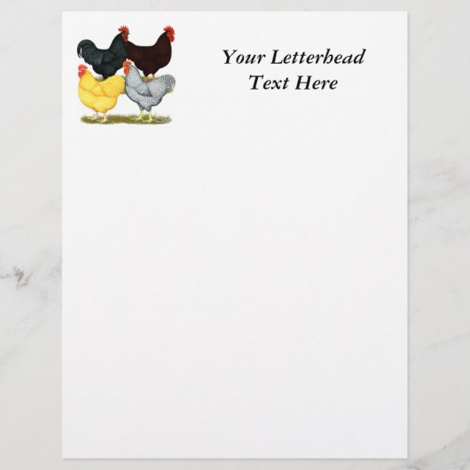 Heavy Rooster Chicken Quartet (Front)