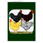 Heavy Rooster Chicken Quartet (Front)