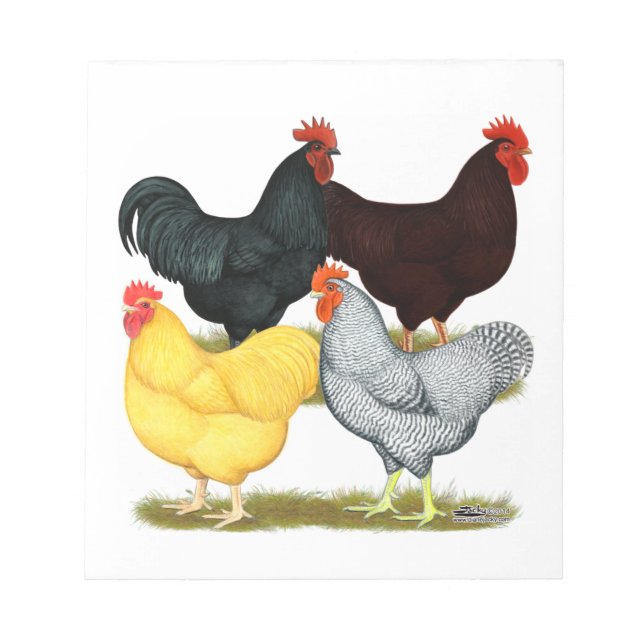 Heavy Rooster Chicken Quartet Notepad (Front)