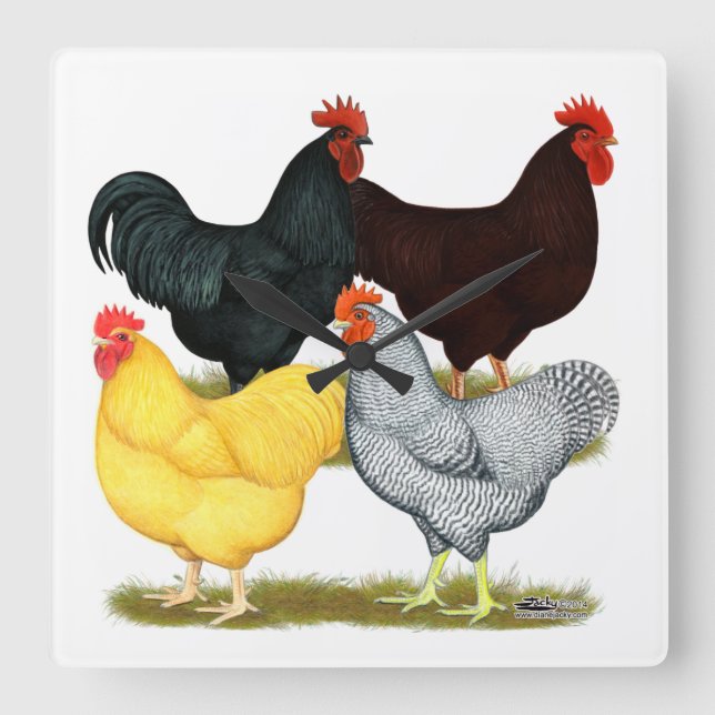 Heavy Rooster Chicken Quartet Square Wall Clock (Front)