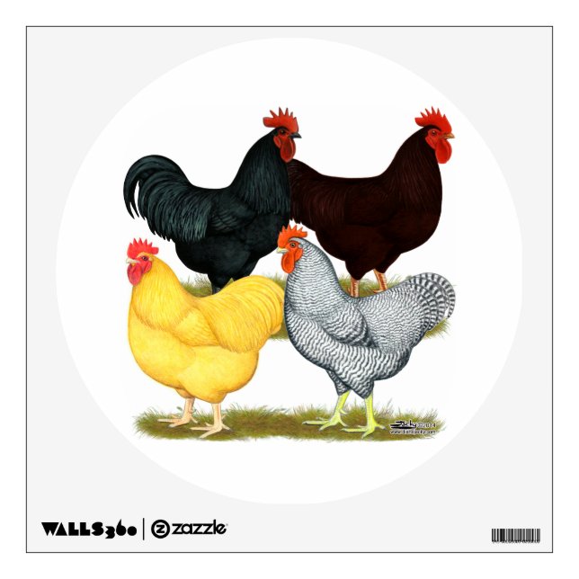 Heavy Rooster Chicken Quartet Wall Decal (Front)