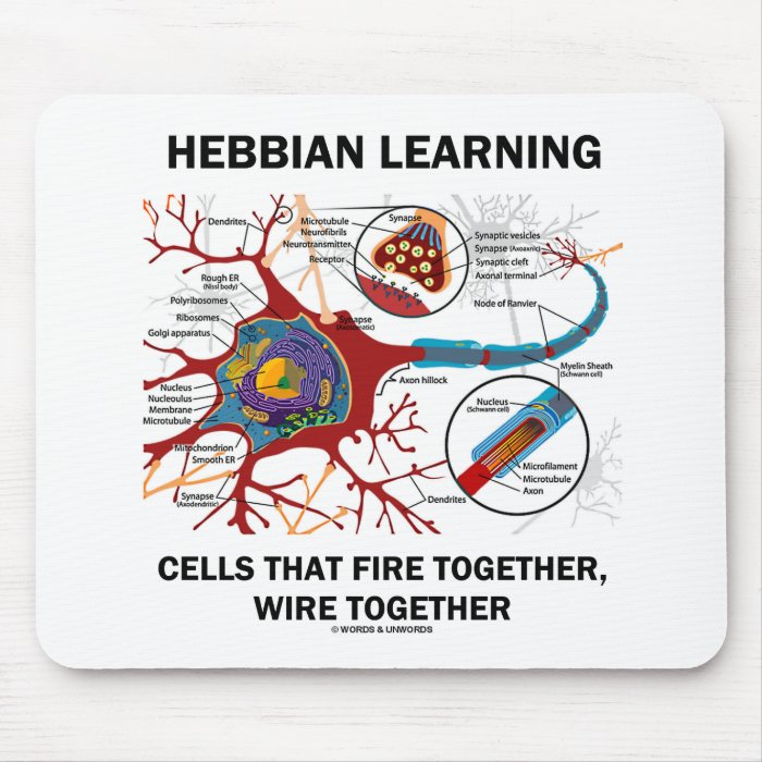 Hebbian Learning Cells Fire Together Wire Together Mousepads