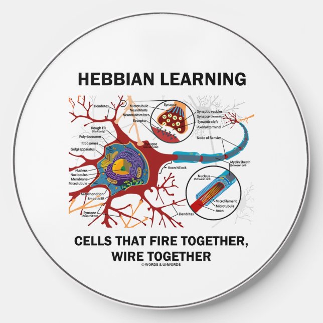 Hebbian Learning Cells Fire Together Wire Together Wireless Charger (Front)