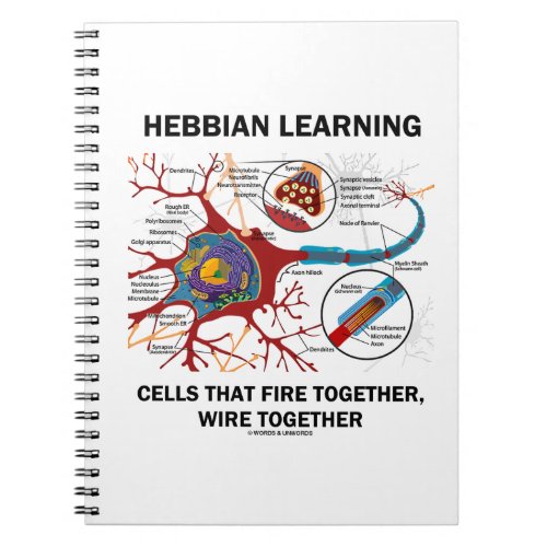 Hebbian Learning Cells That Fire Together Wire Notebook