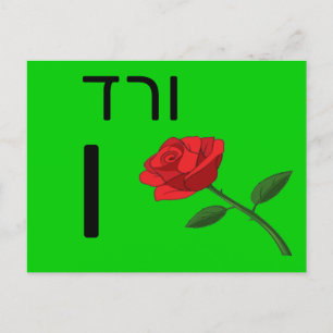 Hebrew ו flash card