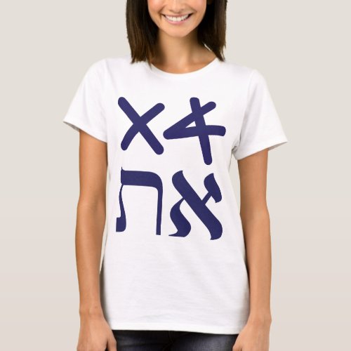 Hebrew Aleph Tav Paleo_Hebrew Navy Typography T_Shirt