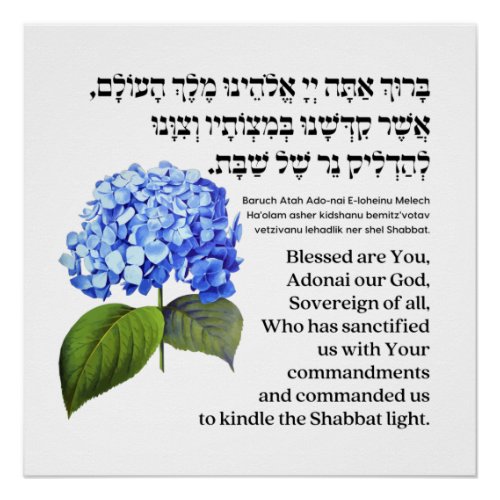 Hebrew Blessing for Shabbat Candles Hydrangea Poster