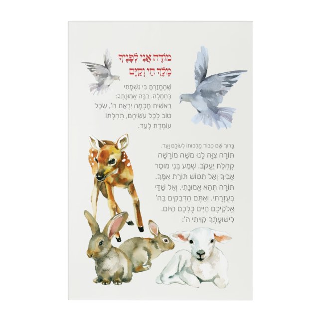 Hebrew Modeh Ani Morning Prayer Jewish Children Acrylic Print (Front)